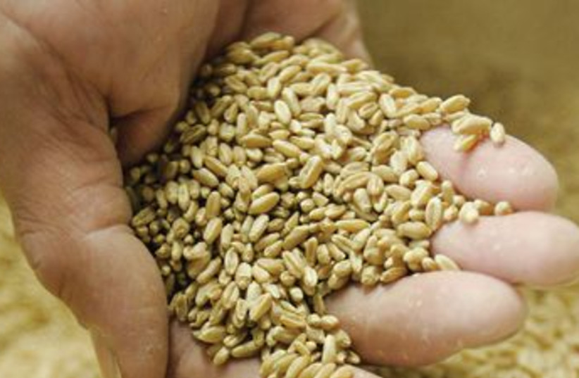 Whole grain kernels (photo credit: MCT)