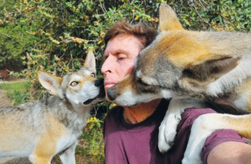 Moshe Alpert, director of A Wolf’s Tale’ 370 (photo credit: Courtesy PR)