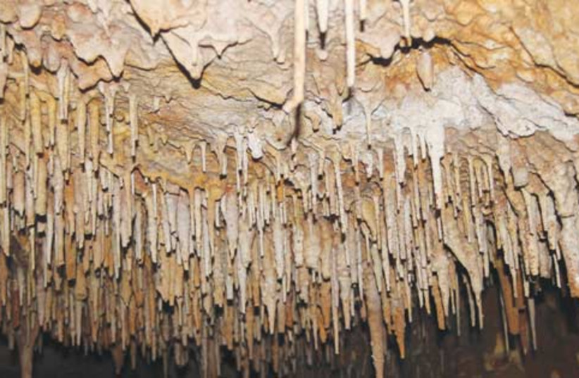 Million-year-old stalactite cave  (photo credit: Courtesy of Samaria Settlers' Committee)