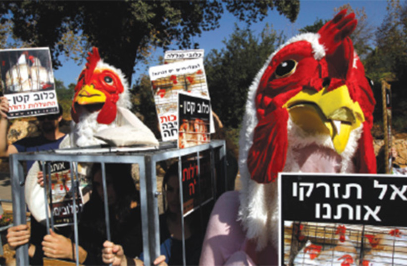 Animal rights protest israel 370 (photo credit: Reuters)