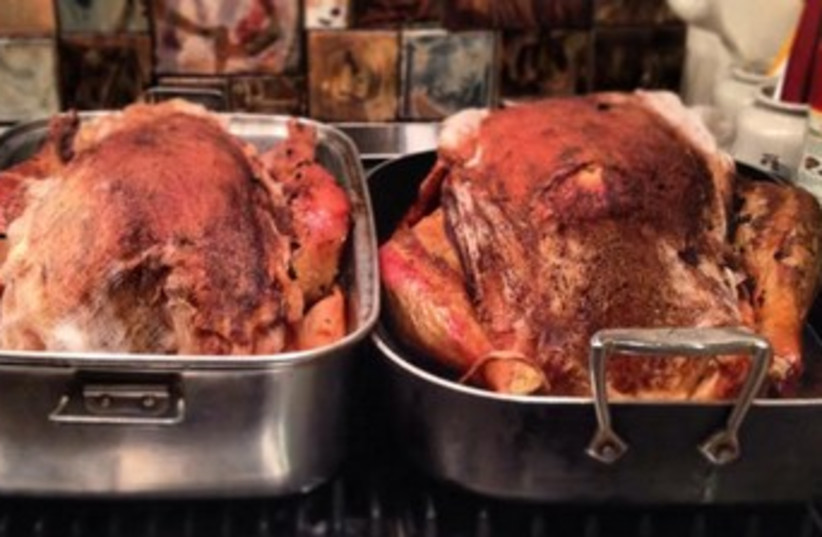 Shwayder family Thanksgiving Turkeys 370 (photo credit: Maya Shwayder)