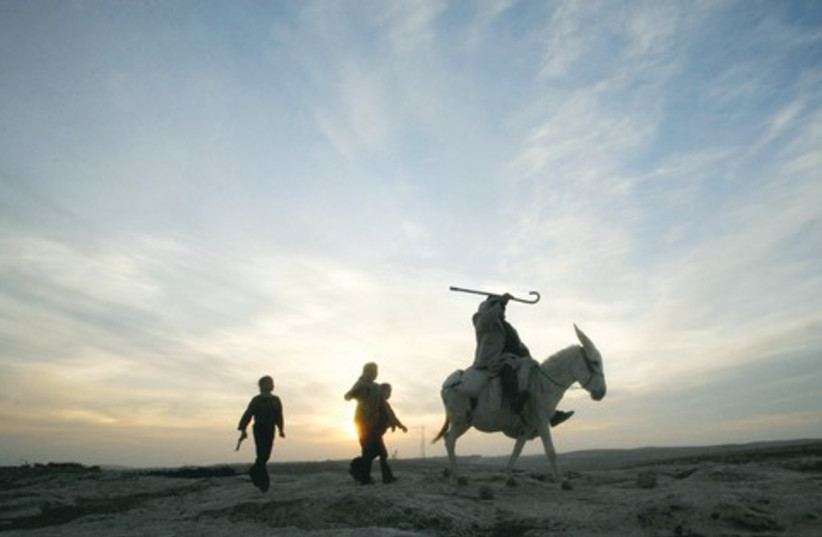 bible times horse illustrative (photo credit: Reuters)