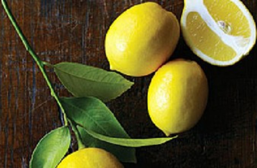 Meyer lemons (photo credit: Courtesy)