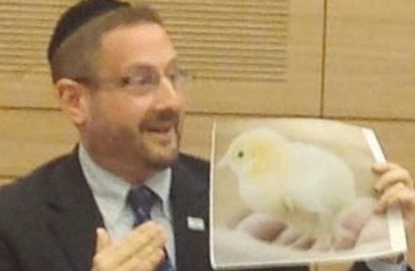 MK DOV LIPMAN holds up a photo of a newborn chick 370 (photo credit: Courtesy Anonymous for Animal Rights)