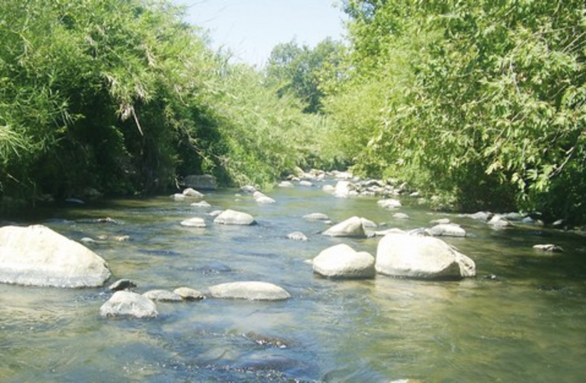 Snir Stream is 65 kilometers long. (photo credit: Wikimedia Commons)