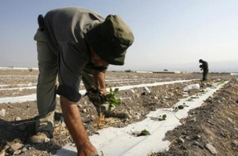 Jordan Valley field effected by drought (photo credit: REUTERS)
