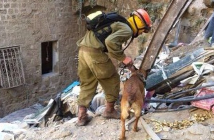 Oketz dog searches building collapse rubble in Acre (photo credit: IDF SPOKESMAN'S OFFICE)