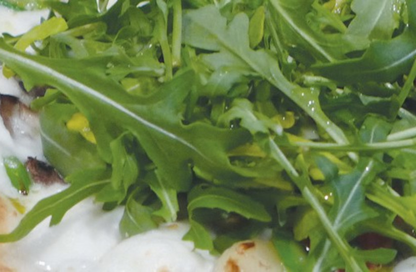 With their pleasing spiciness, small leaves of arugula, also known as rocket, are a good choice to balance the richness of pizza. (photo credit: YAKIR LEVY)