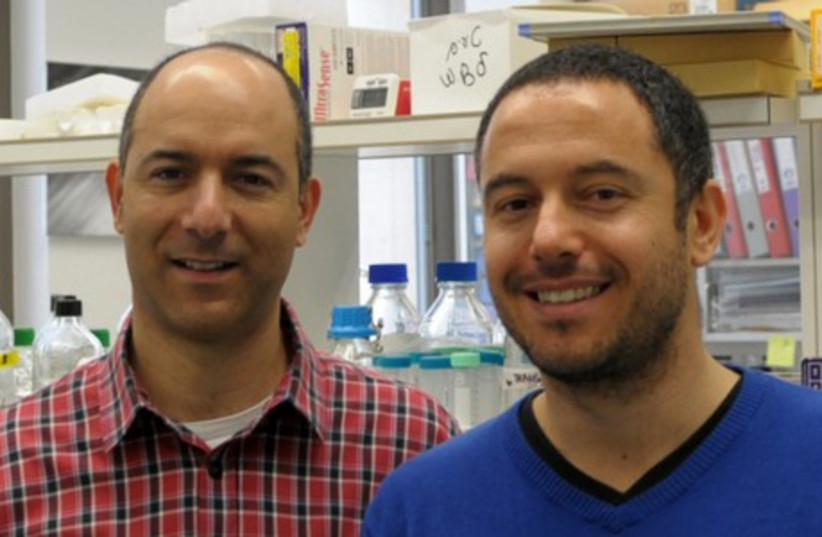 Dr. Rotem Karni and graduate student Avi Maimon. (photo credit: COURTESY- HEBREW UNIVERSITY)