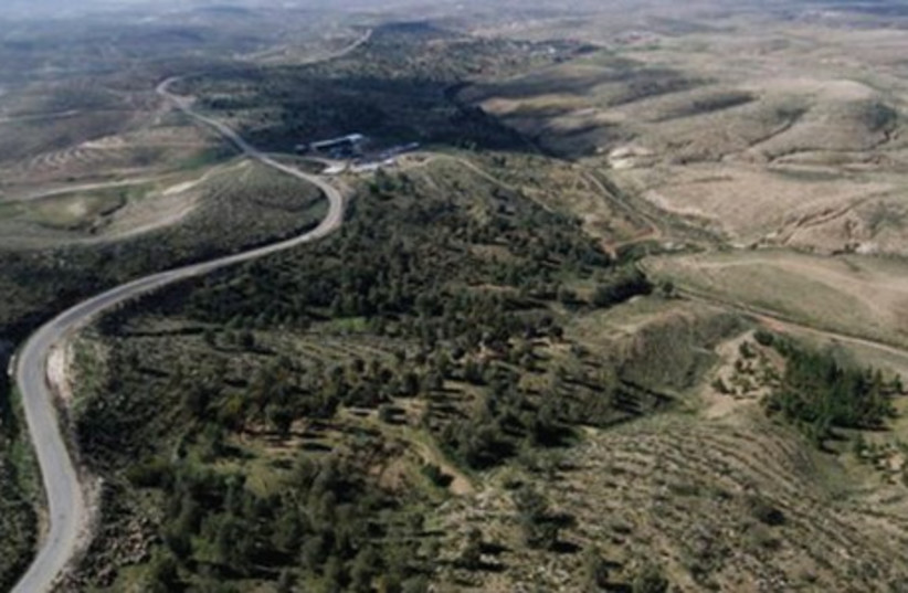 A STRETCH of northern Negev land after Keren Kayemeth LeIsrael-Jewish National Fund afforestation (photo credit: KKL-JNF)