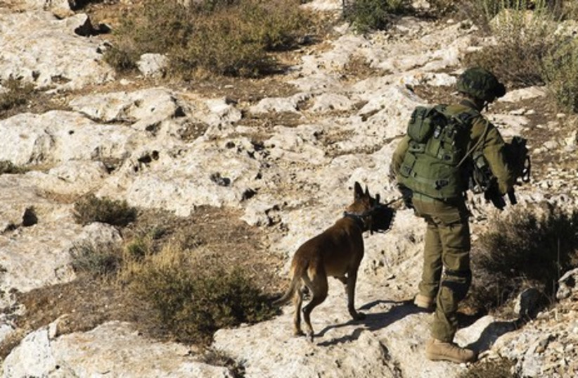 An Israeli soldier and his dog take part in a massive search operation in the Hebron area June 17 to locate three Israeli teens kidnapped in the West Bank, June 12 (photo credit: AMIR COHEN - REUTERS)
