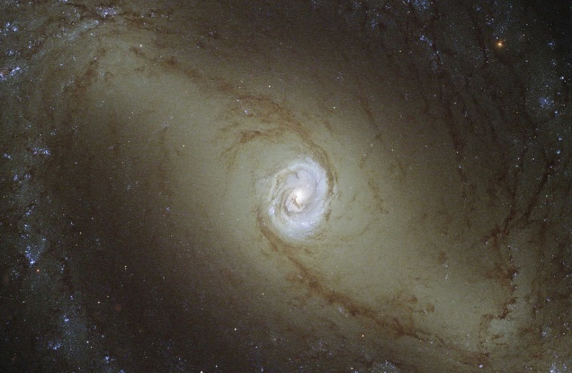 A spiral galaxy known as NGC 1433 is seen in an undated image captured by the NASA/ESA Hubble Space Telescope (photo credit: REUTERS)