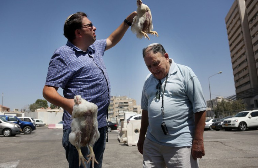 The Practice of Kaparot at Jerusalems Mahne Yehuda (photo credit: MARC ISRAEL SELLEM/THE JERUSALEM POST)