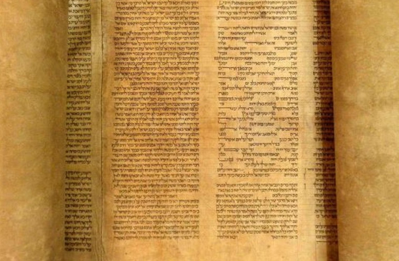 The Torah (photo credit: REUTERS)