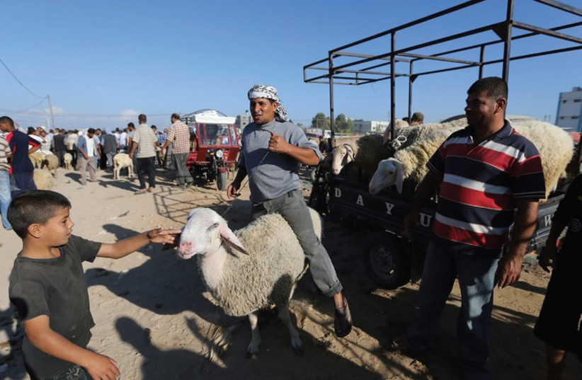 A PALESTINIAN vendor shows a sheep to customers at a livestock market in Khan Yunis (photo credit: REUTERS)