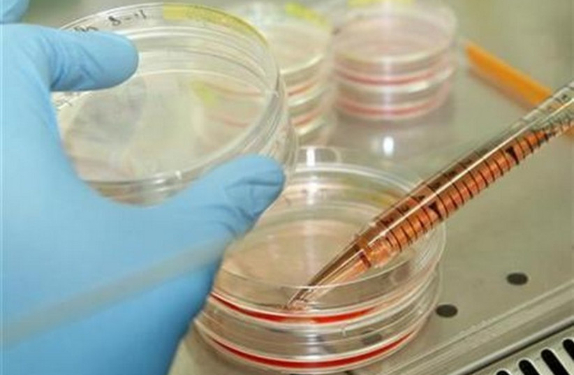 A researcher works with stem cells in a laboratory (photo credit: REUTERS)