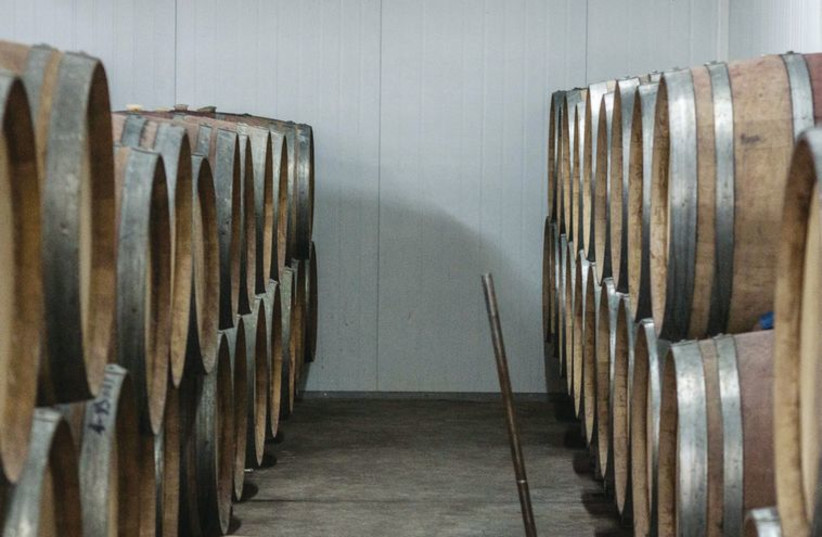 Wine barrels (photo credit: MEITAL SHARABI)