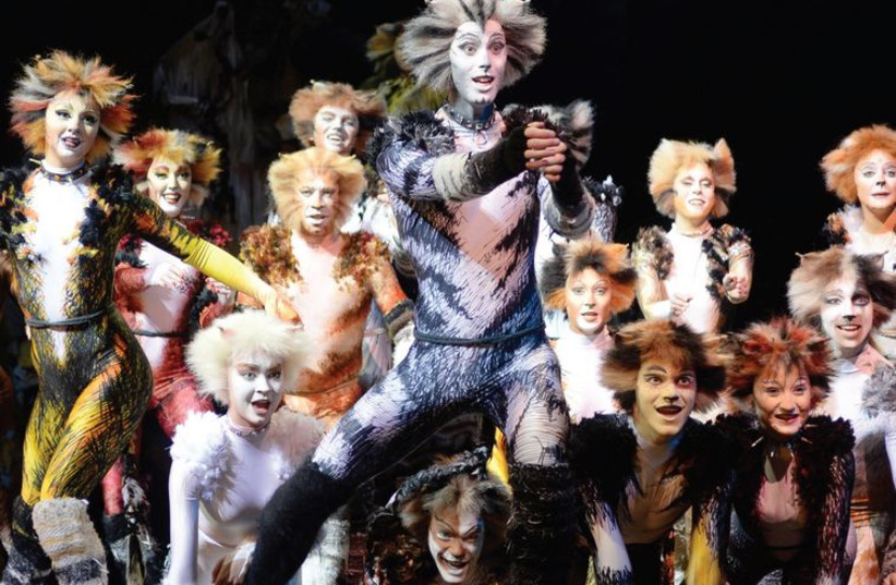 The West End production of ‘Cats’ will be performed in Tel Aviv (photo credit: PR)
