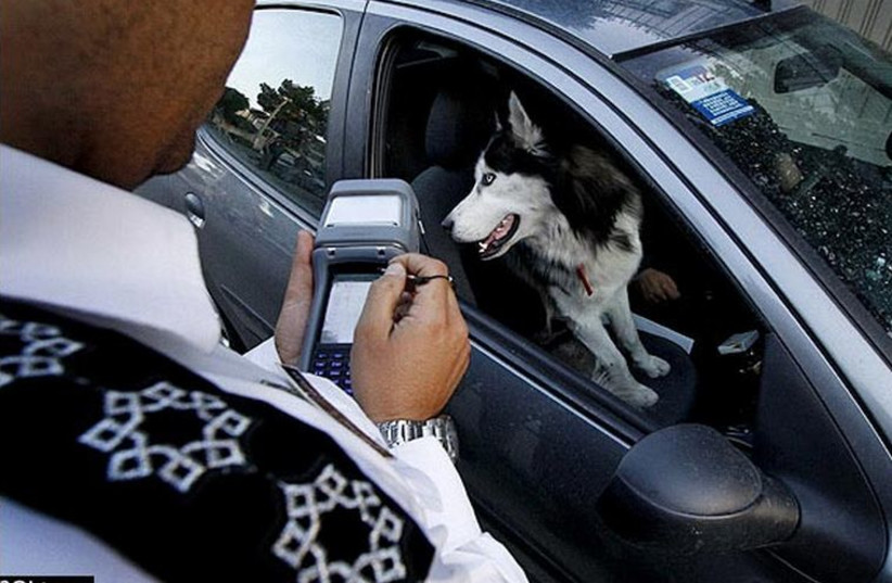 Iranian dog owner fined (photo credit: IRANIAN MEDIA)