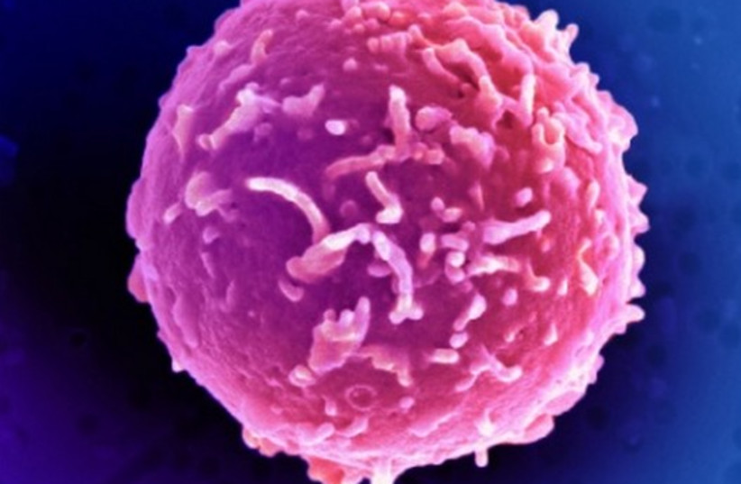 A magnified view of a CD34+ stem cell (photo credit: REUTERS)