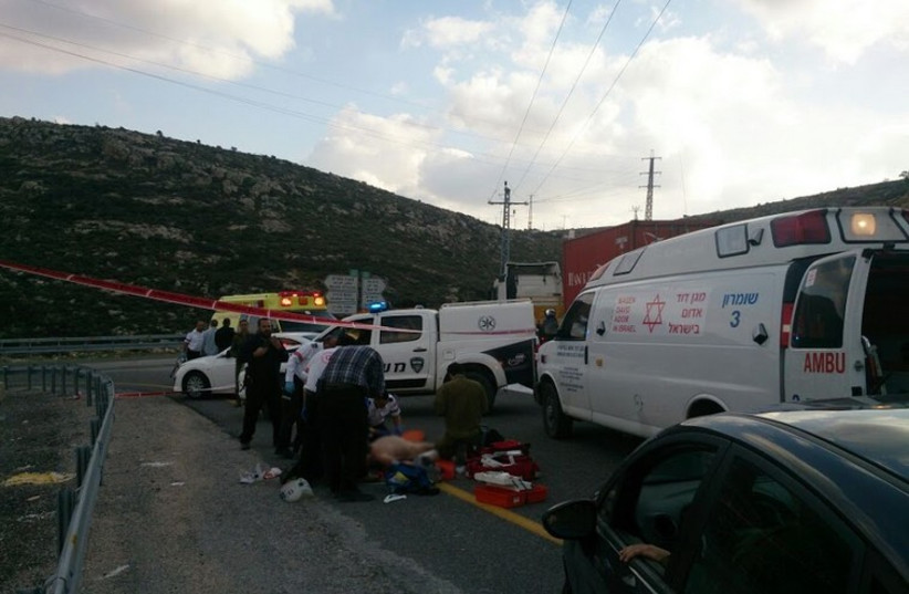 Israeli seriously hurt after being struck by vehicle in possible hit and run (photo credit: ISRAEL POLICE)