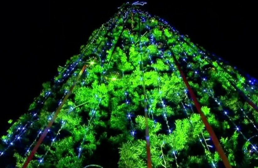 Christmas tree (photo credit: screenshot)