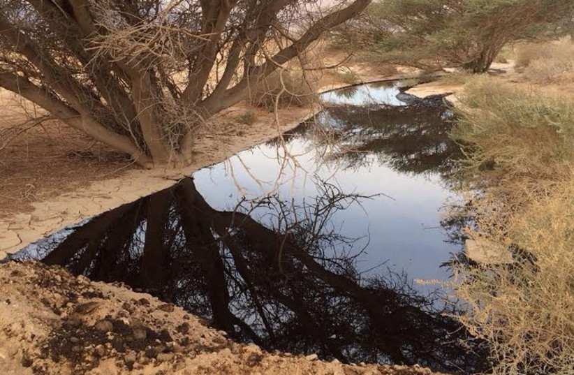 Oil spill near Eilat  (photo credit: ISRAEL NATURE AND PARKS AUTHORITY)