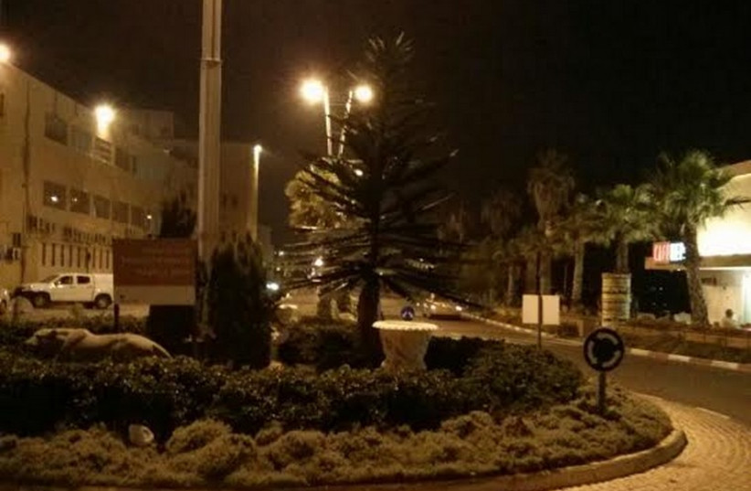 Christmas tree in Acre (photo credit: PR)
