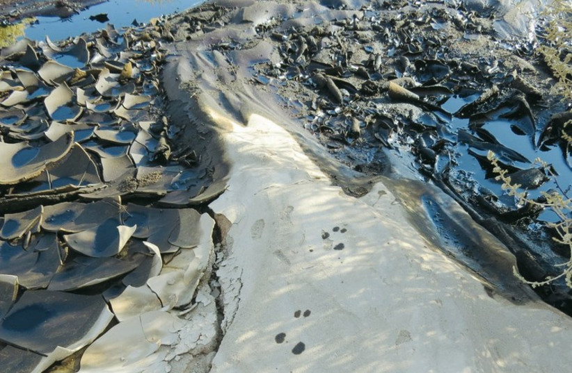 Pools of oil collect among the salt flats. (photo credit: YIGAL BEN-ARI/NPA)