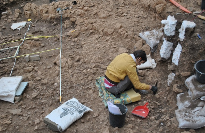 Excavating the earliest houses (14,000-year-old) in Mount Carmel, Israel. (photo credit: REUVEN YESHURUN)