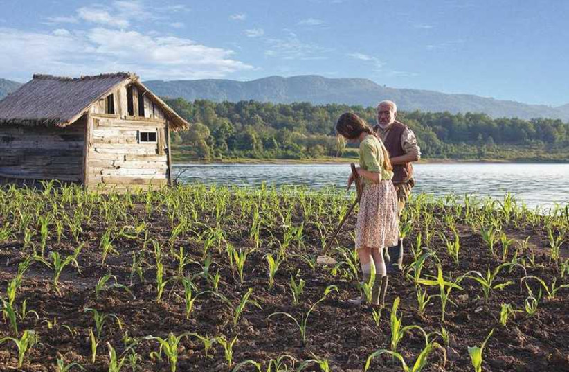 Georgian film ‘Corn Island’ (photo credit: PR)