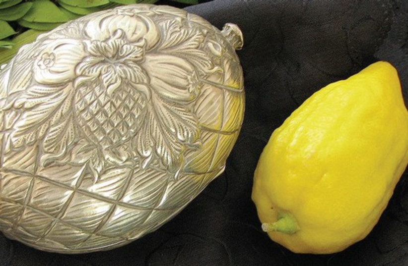 The Succot citron, etrog,  is protectively wrapped in silky flax padding and safeguarded in a covered ornamental box. (photo credit: REUTERS)