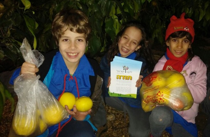 Youth with the citrus fruits they picked from trees as part of Leket Israel's Project Citrus Rescue for Tu Bishvat (photo credit: LEKET ISRAEL)