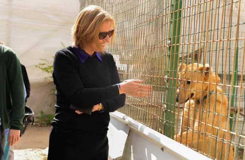 Zionist Union co-leader Tzipi Livni at dog shelter. (photo credit: LOUISE GREEN)