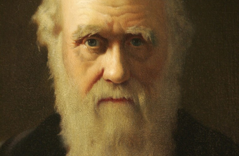 A detail of British artist John Collier's 1883 painting of Charles Darwin is displayed as part of an exhibition in Darwin's former home. (photo credit: REUTERS)