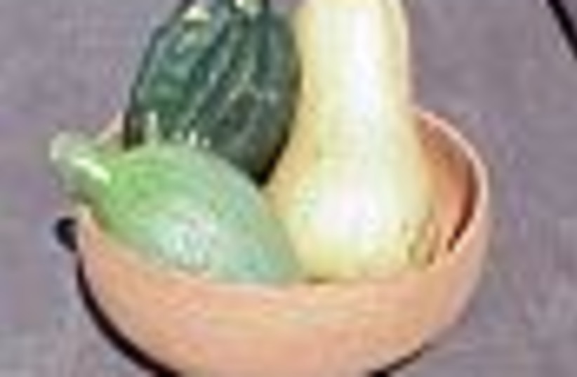 squashes in bowl 88 (photo credit: )