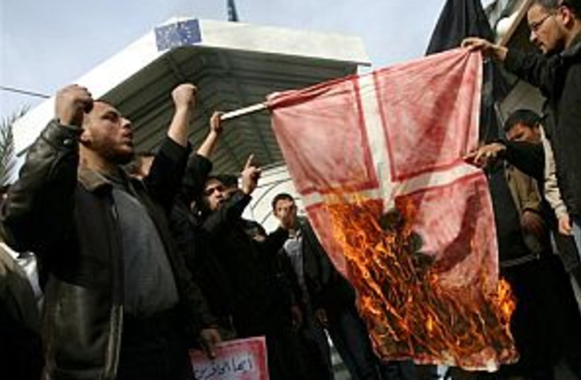 pals burn danish flag 29 (photo credit: AP)