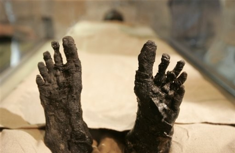 mummy feet egypt  512 (credit: AP)