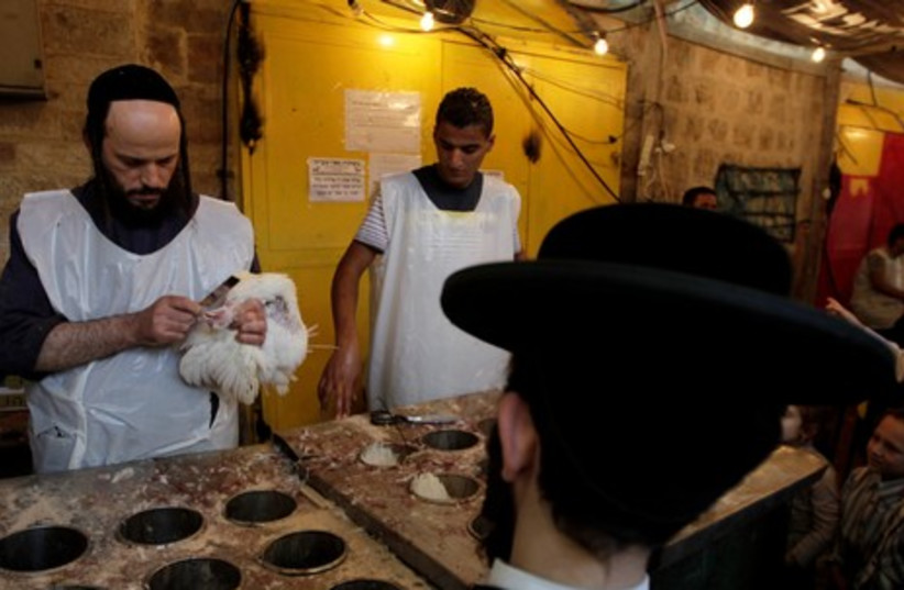 Kapparot ceremonies in Jerusalem GALLERY 465 4