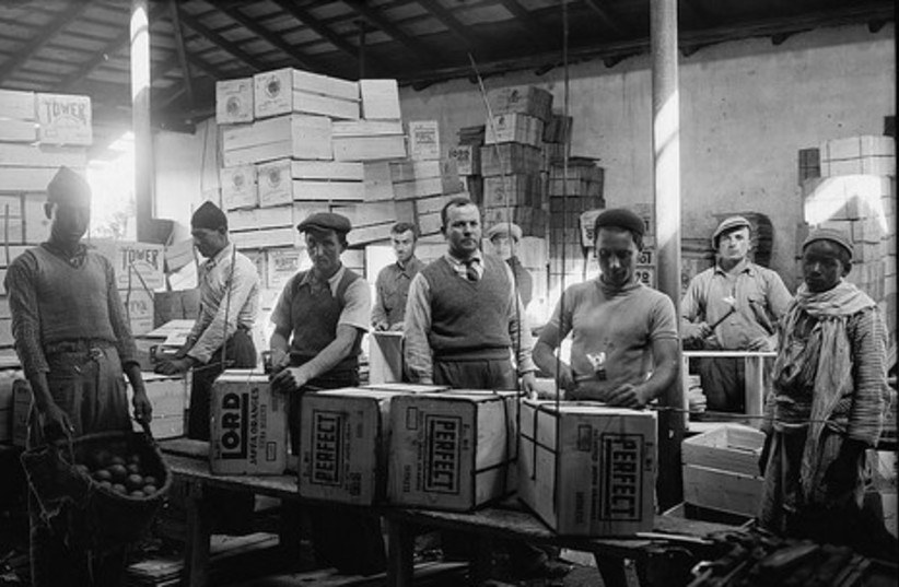 Arab and Jewish workers nailing orange crates in Rehovot