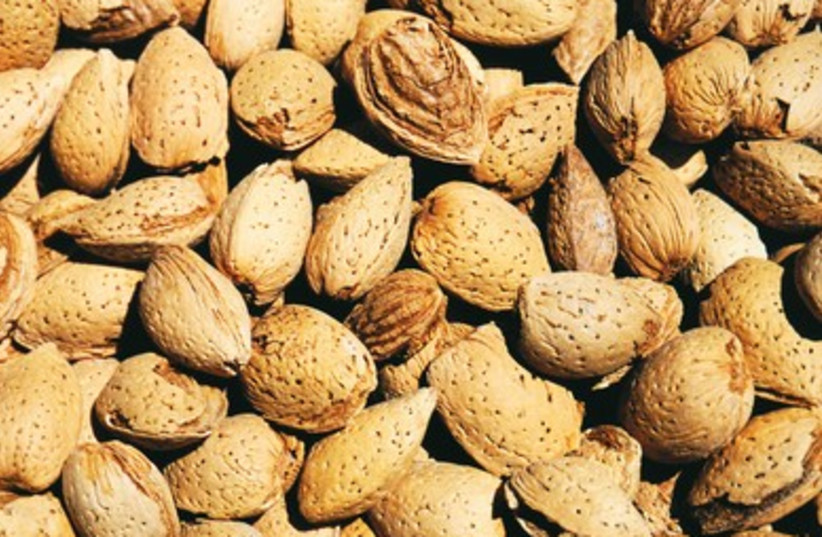It's almond season!