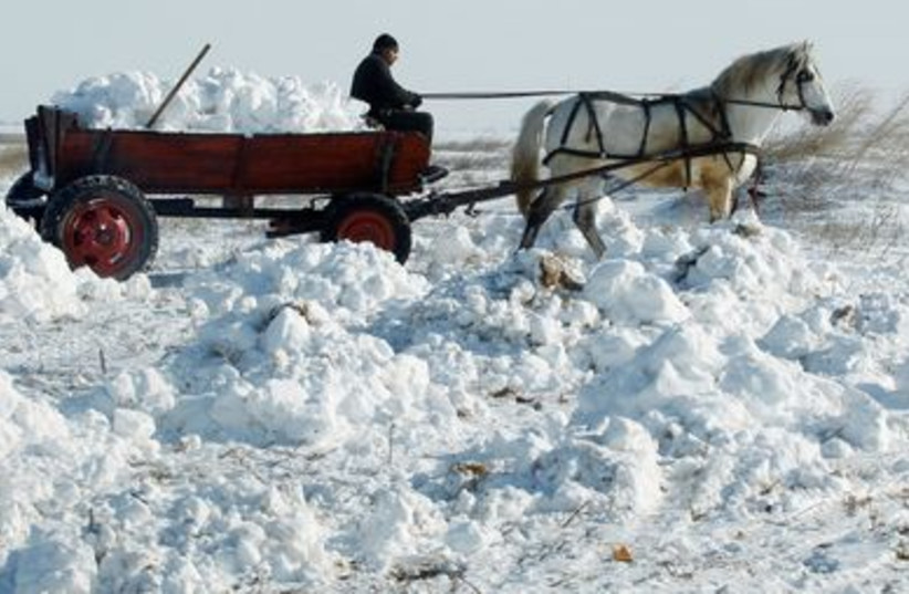 Man carries snow in horse-driven cart near Bucharest