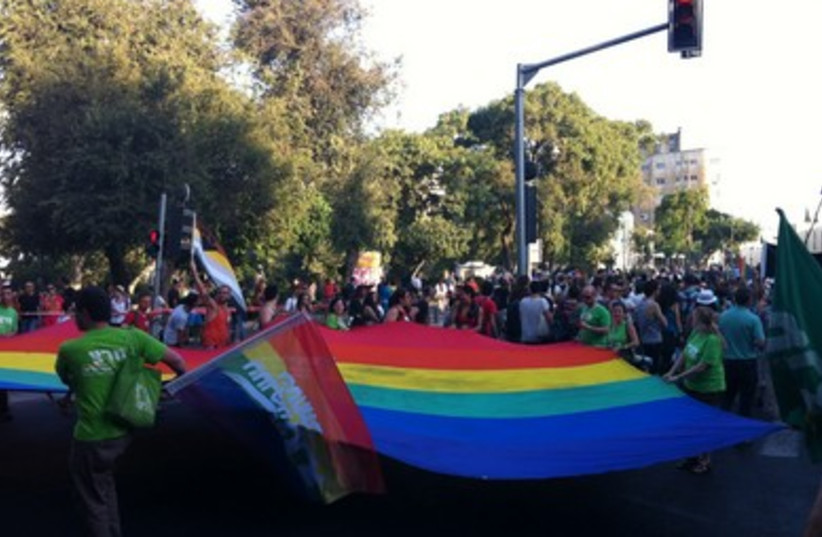 Meretz youth carry large rainbow flag 390