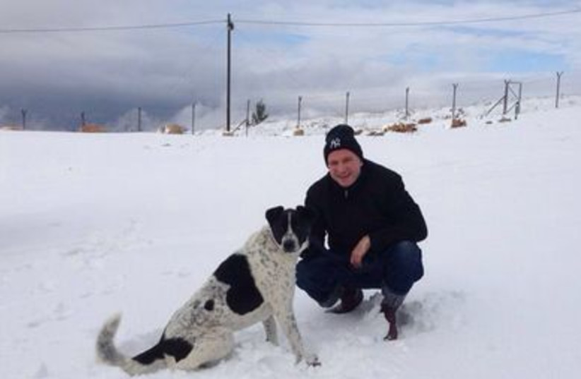 Edelstein with dog in snow 390
