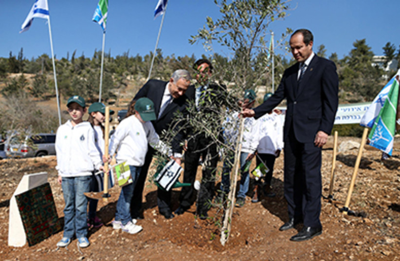 Netanyahu planting trees for Tu Bishvat. Jan 15, 2014