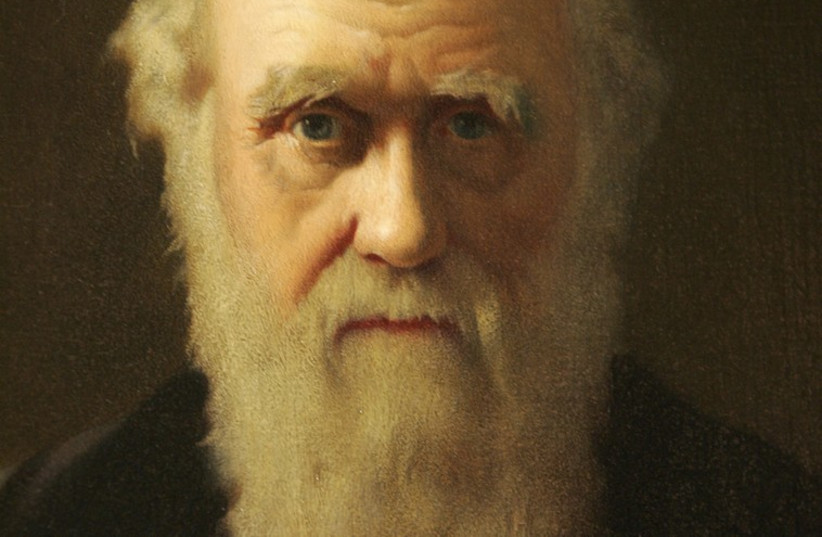 A detail of British artist John Collier's 1883 painting of Charles Darwin is displayed as part of an exhibition in Darwin's former home. (credit: REUTERS)