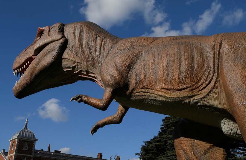 A life-size dinosaur is seen at Jurassic Kingdom in London (photo credit: TOBY MELVILLE/REUTERS)