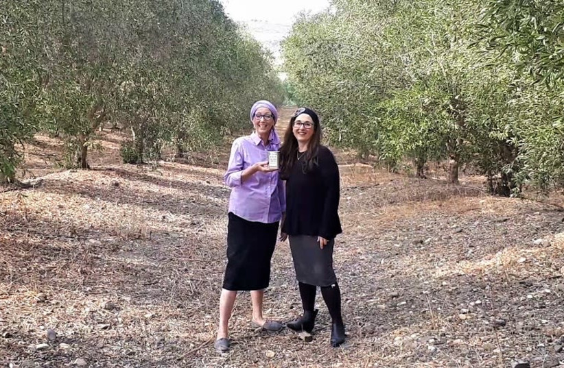 Chana Veffer (left) and Nili Abrahams in the orchards of Degania. (photo credit: GALILEE GREEN)