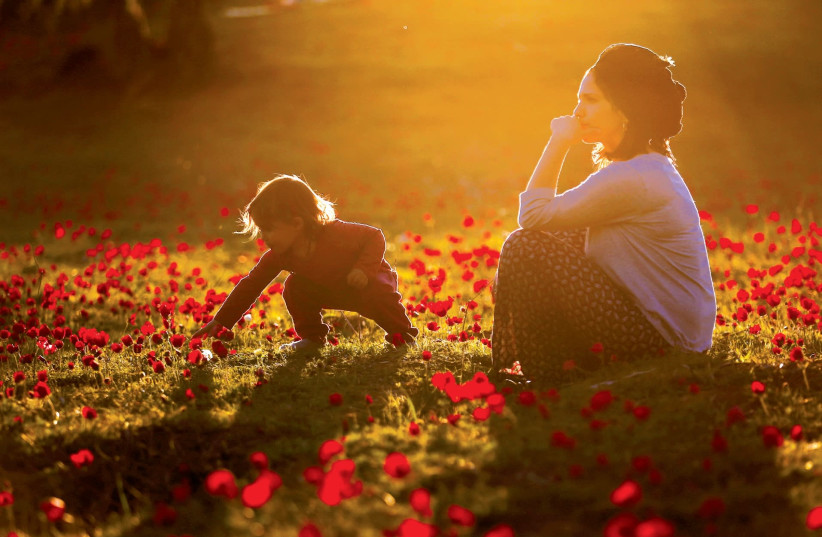 A WOMAN plays with her daughter in a field of anemones near Kibbutz Alumim in southern Israel, earlier this year. (photo credit: AMIR COHEN - REUTERS)