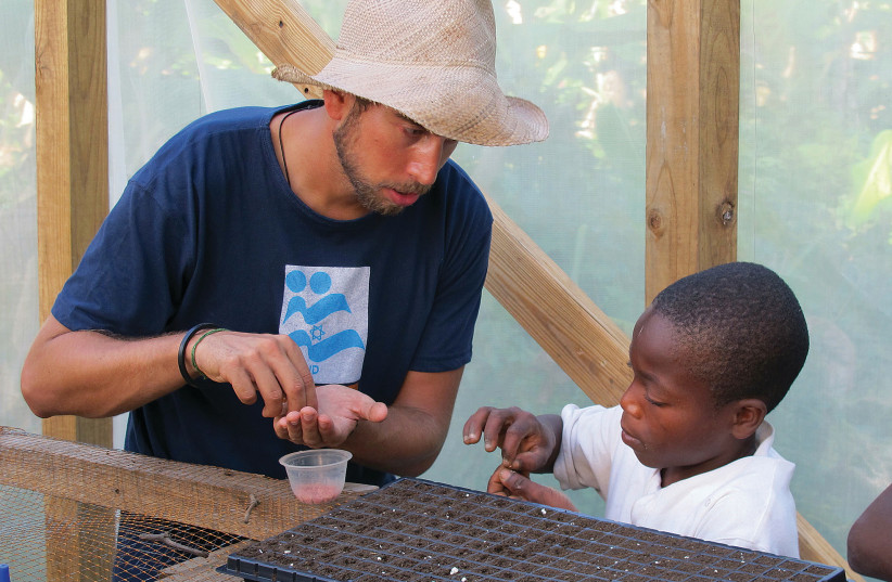 Apprentissage de plantation de semences à Haïti (photo credit: MICKEY NOAM-ALON / ISRAAID)